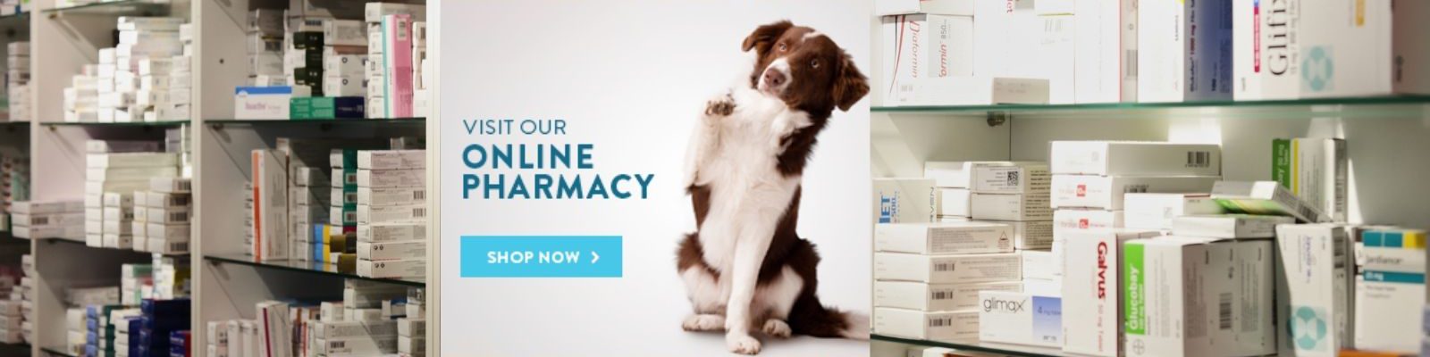 Meadowbrook Animal Healing, online pharmacy