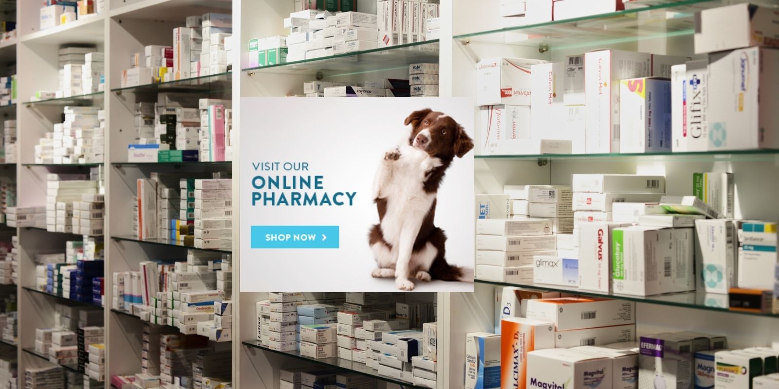 Meadowbrook Animal Healing, online pharmacy